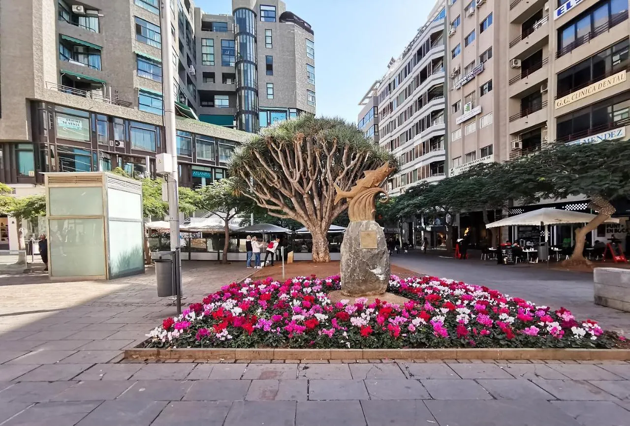 Home2Book Santa Cruz Skyline Cozy Apartment 0*, Santa Cruz de Tenerife Spain